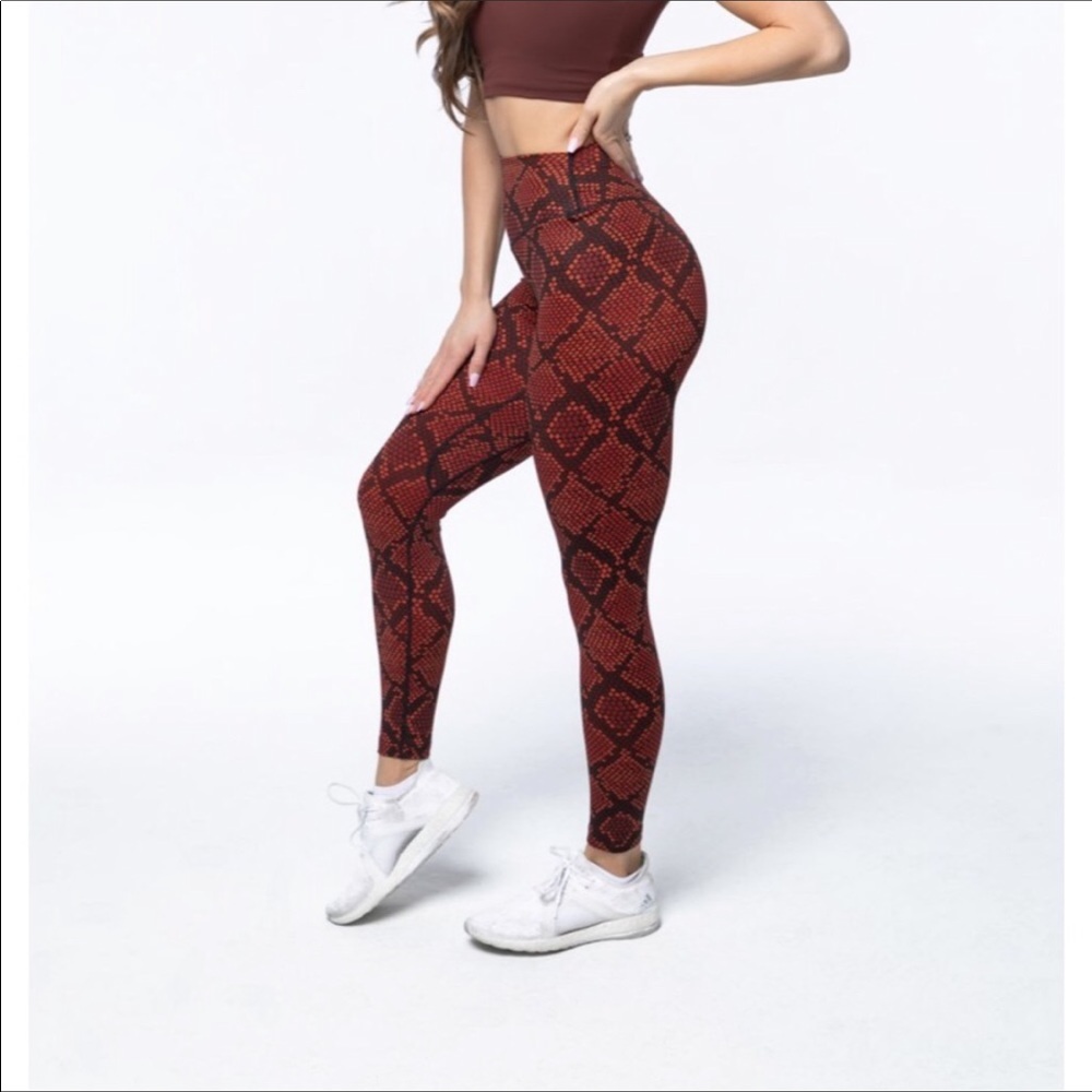 ISO any color animal kingdom in an XS